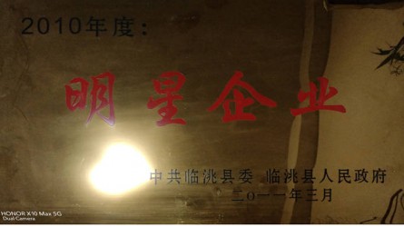 2010年度明(míng)星企業