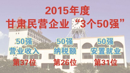  巍雅斯跻身甘肅2015年度民營企業“三個(gè)50強”